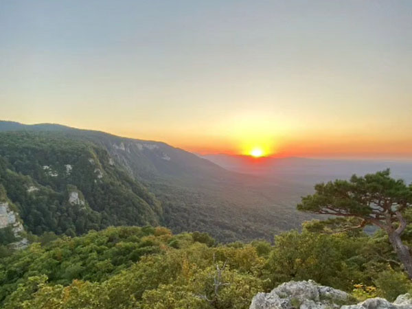 Гуамское ужелье ДЖИПЫ смотровые